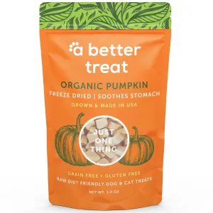 A Better Treat Freeze Dried Raw USDA Organic Pumpkin Dog and Cat Treats, 1-oz Bag