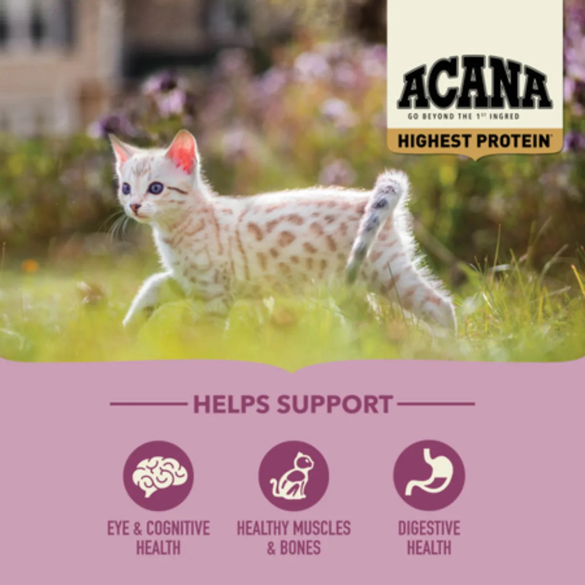 Acana Kitten Highest Protein Chicken, Turkey & Salmon Dry Cat Food 4lb