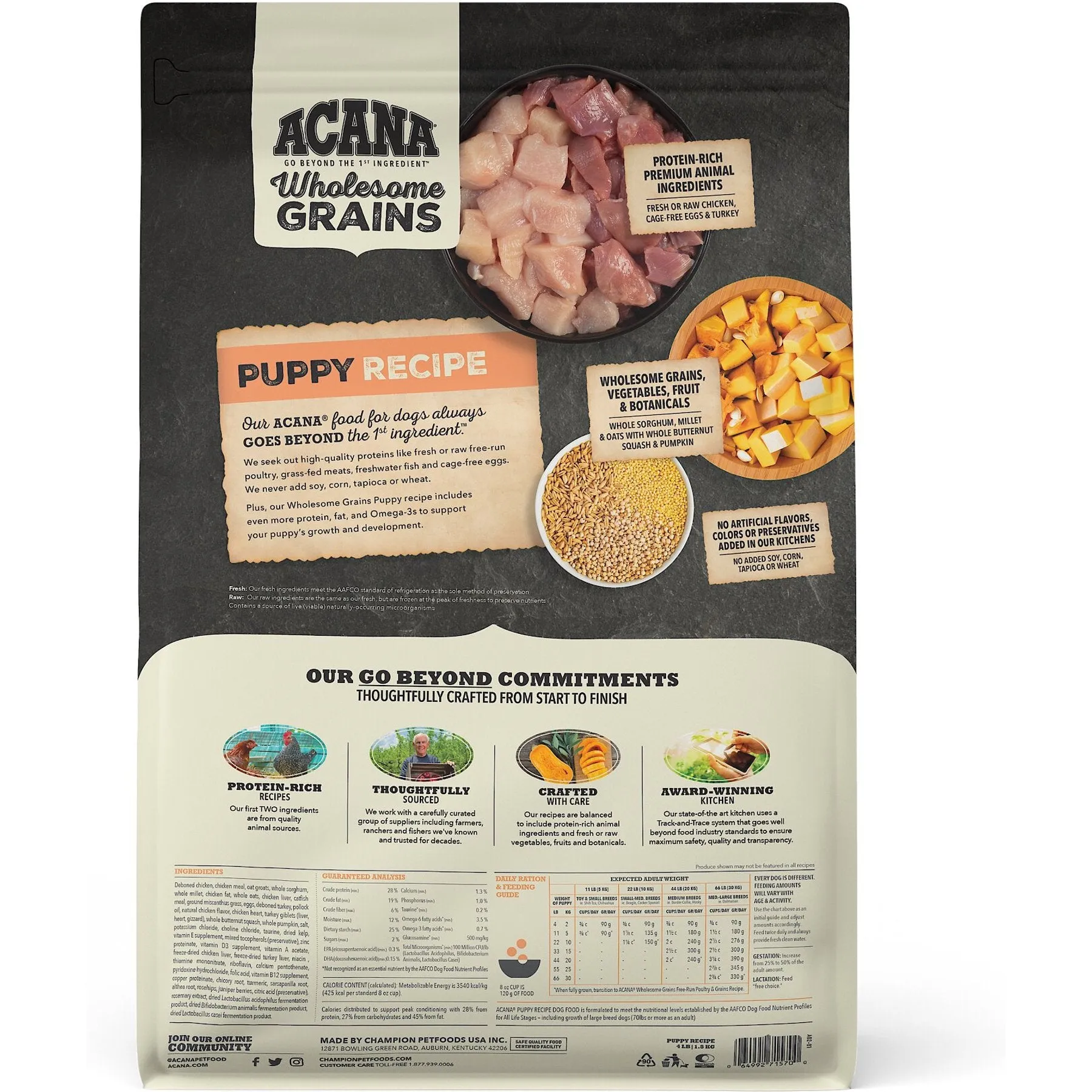 ACANA Wholesome Grains Puppy Dry Dog Food, 4-lb bag