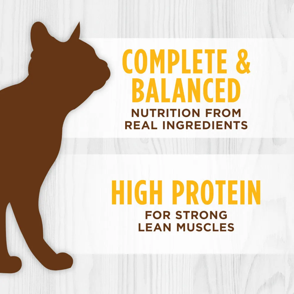 All Life Stages Original Grain Free Chicken Cat Can