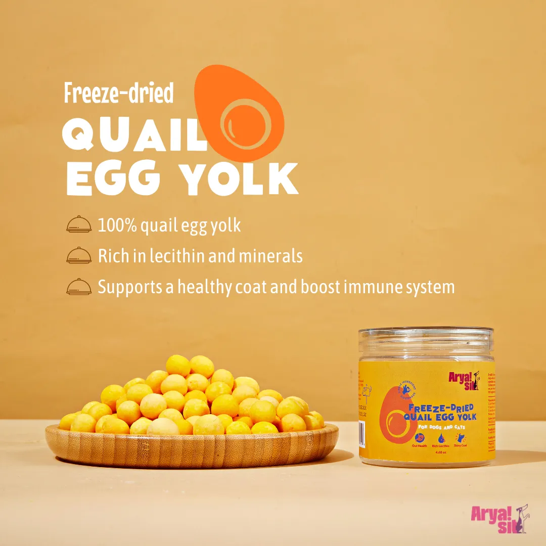 Arya Sit Freeze-Dried Egg Yolk Dog Treat