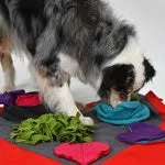 Dog Sniff and Search Interactive Nosework Puzzle Game, Heart Pad