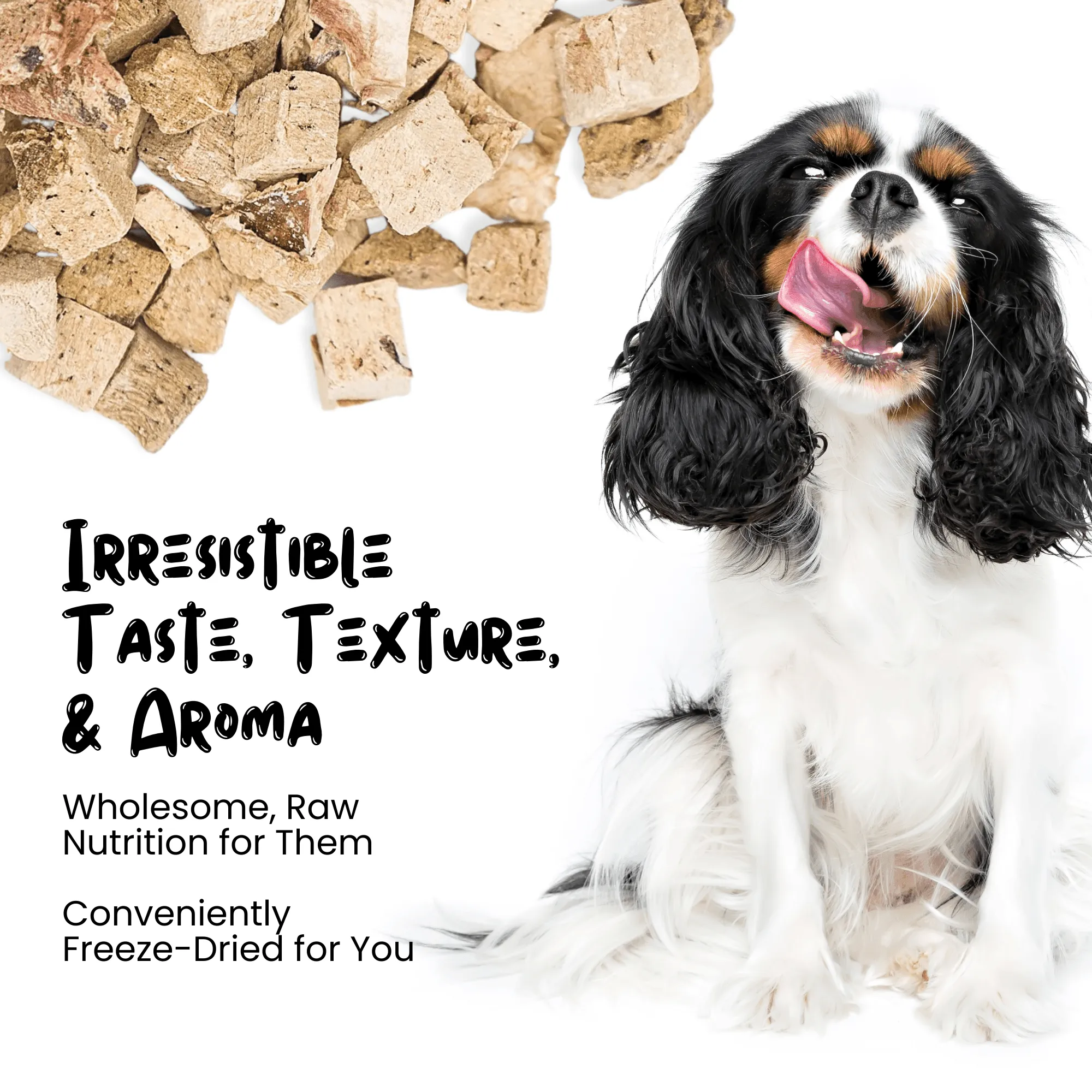 Freeze Dried Chicken Liver Treats for Cats & Dogs