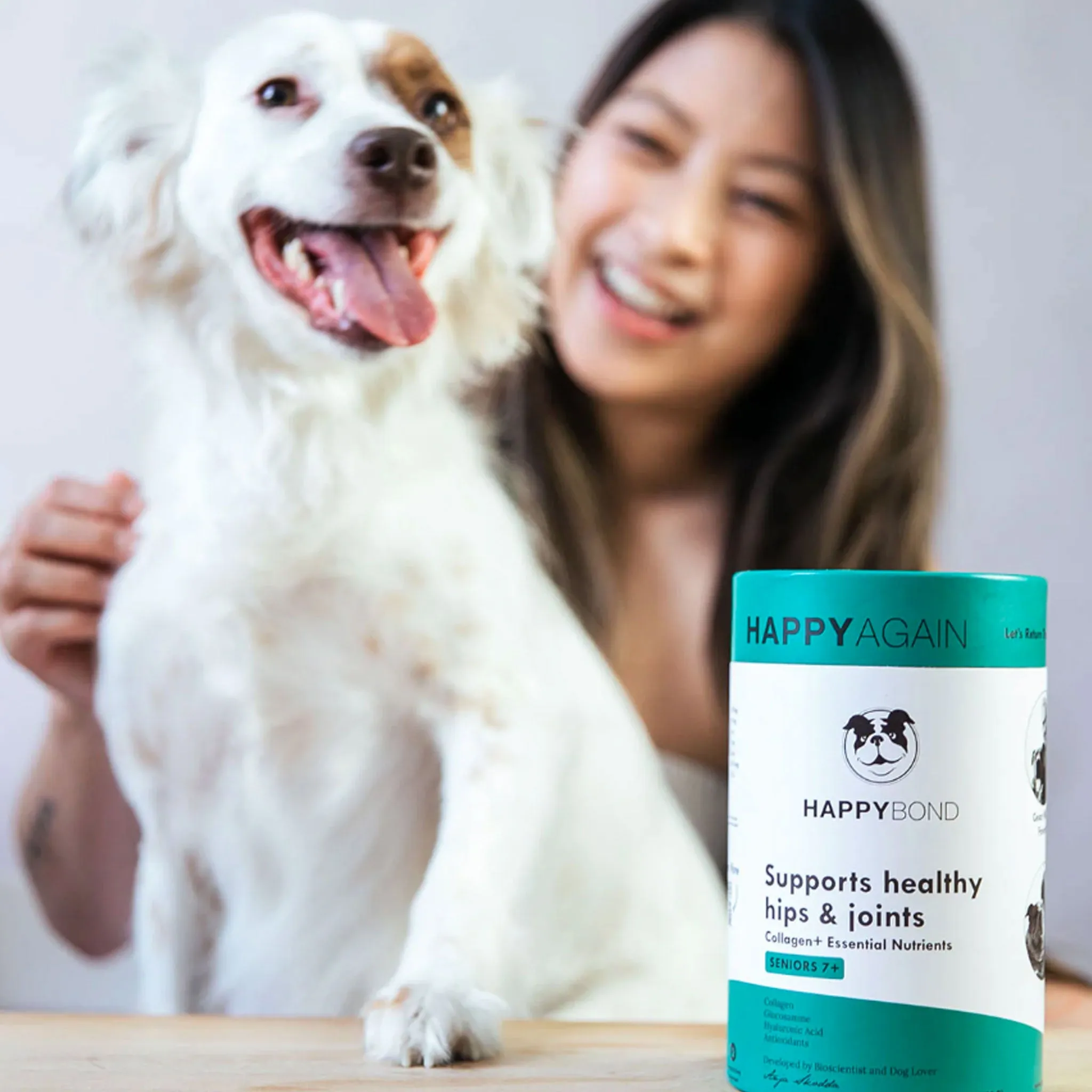 Happy Again Hip & Joint Dog Supplement - 14 oz