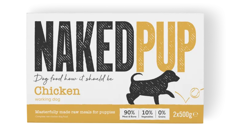 Naked Dog Puppy Chicken