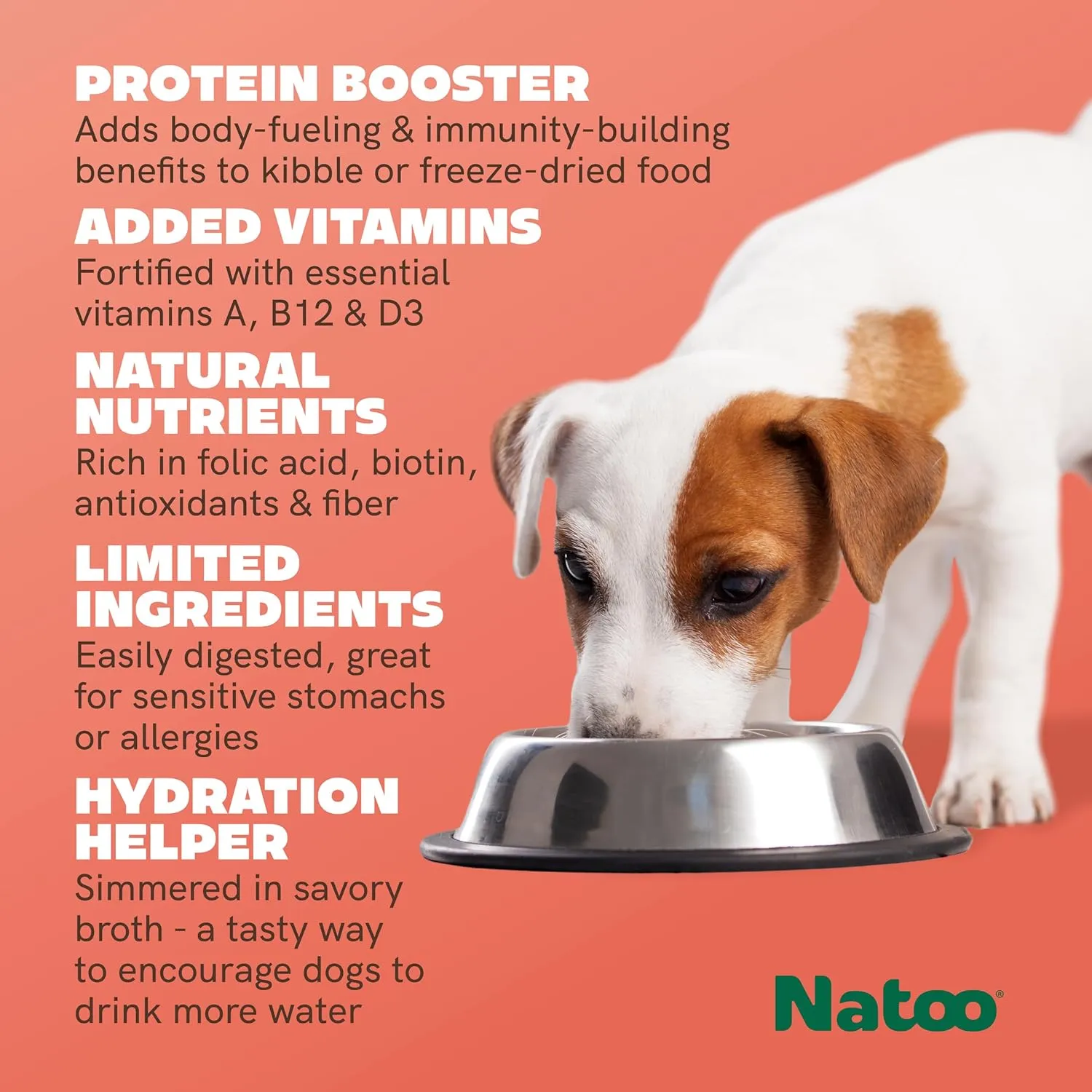 Natoo Meal Topper or Treat Salmon & Brown Rice in Broth Dog Food