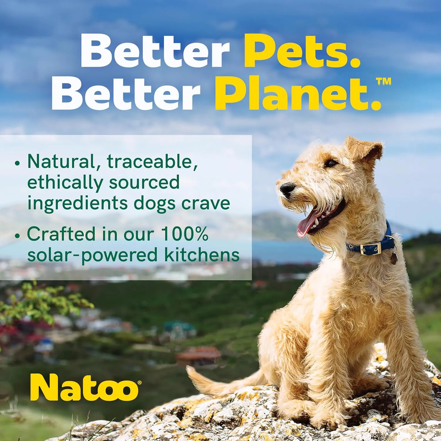 Natoo Meal Topper or Treat Salmon & Brown Rice in Broth Dog Food