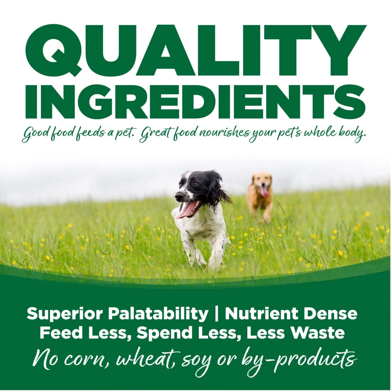 Nutrisource Turkey & Rice Recipe Dry Dog Food 26lb