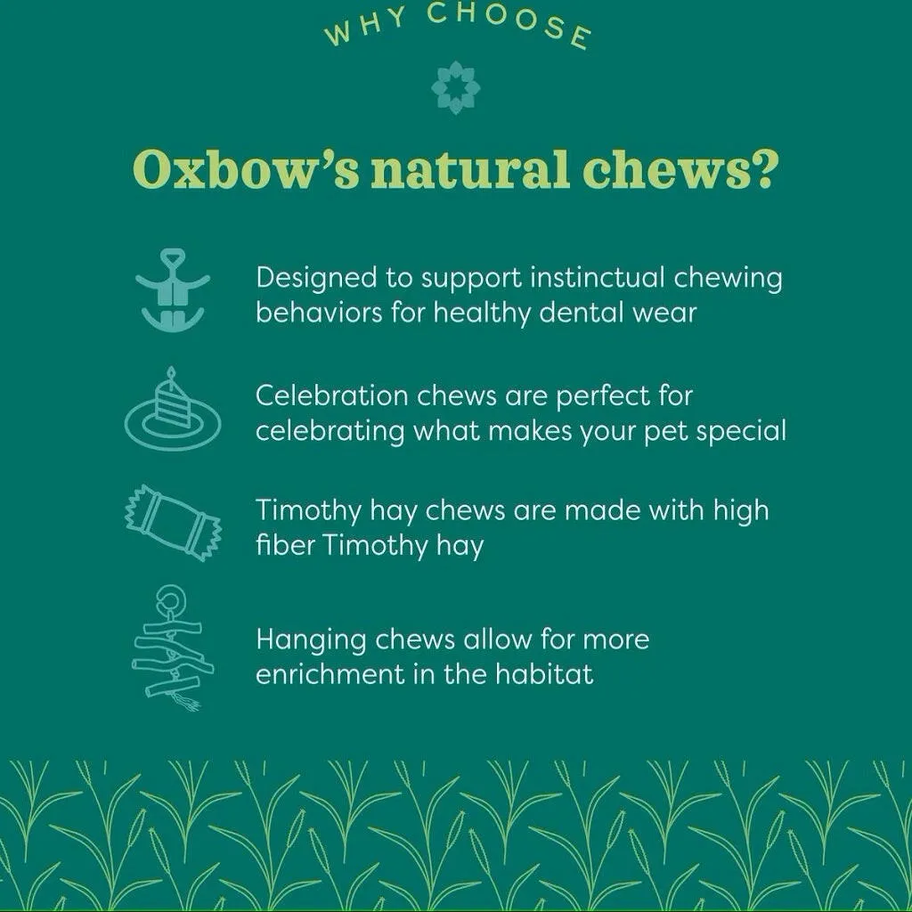 Oxbow Animal Health Crazy Shakers Chew Toy For Small Animals