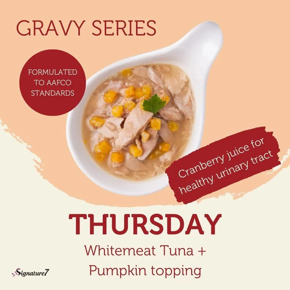 Real Meat Gravy - Thu - Whitemeat Tuna w/ Pumpkin Topping Cat Can