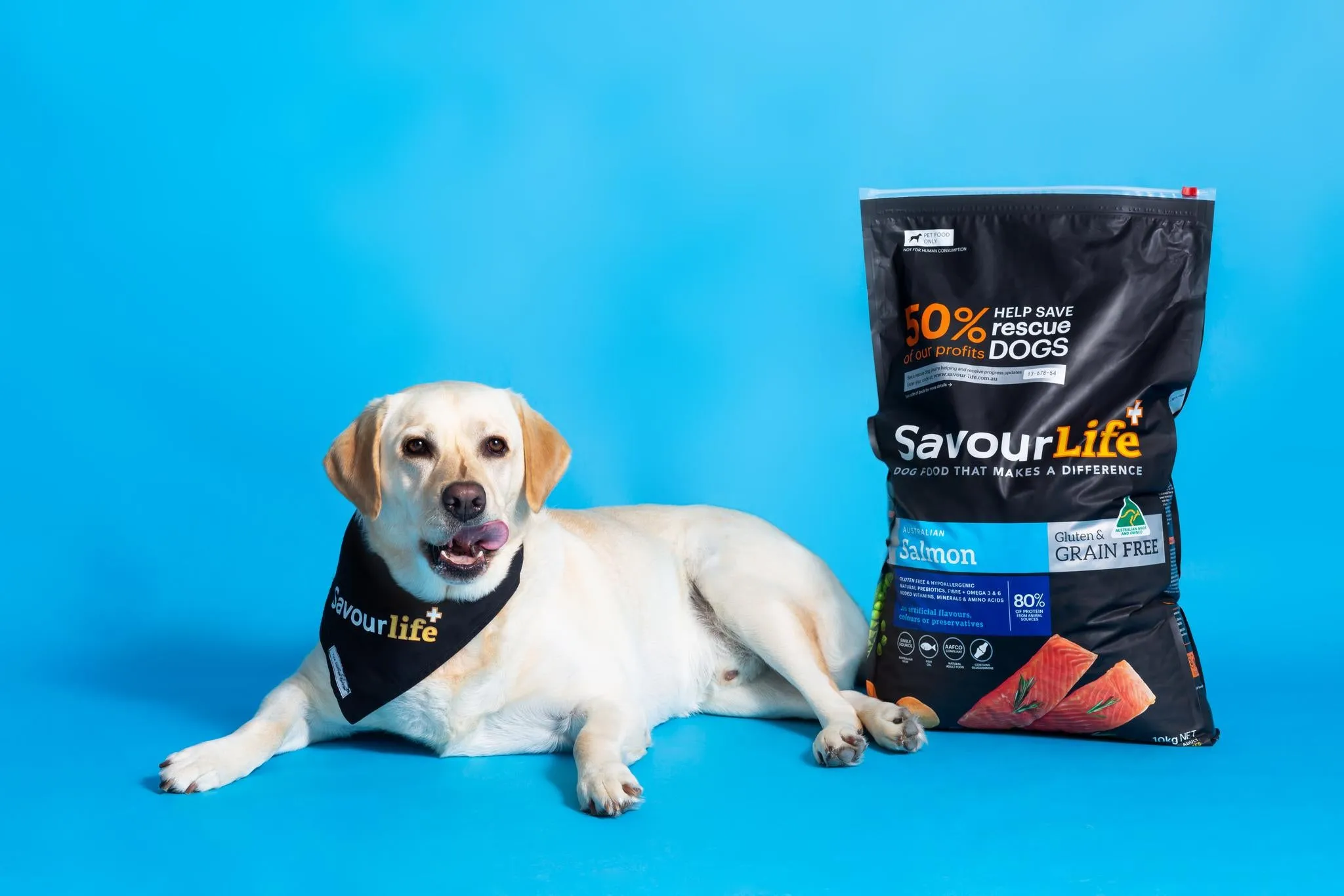 SavourLife Grain Free Adult Dog Australian Salmon Dry Food