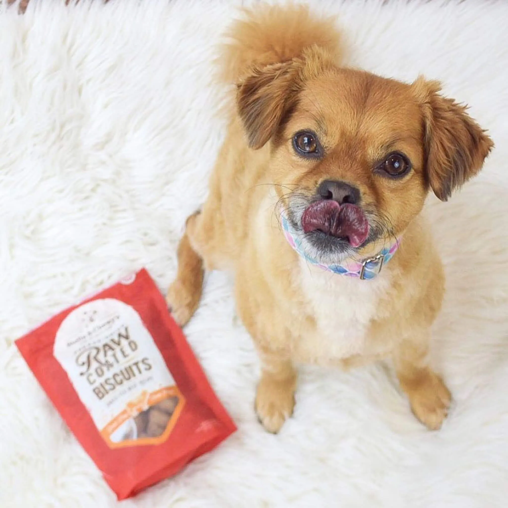 Stella & Chewy's Raw Coated Biscuit Freeze Dried Dog Treat