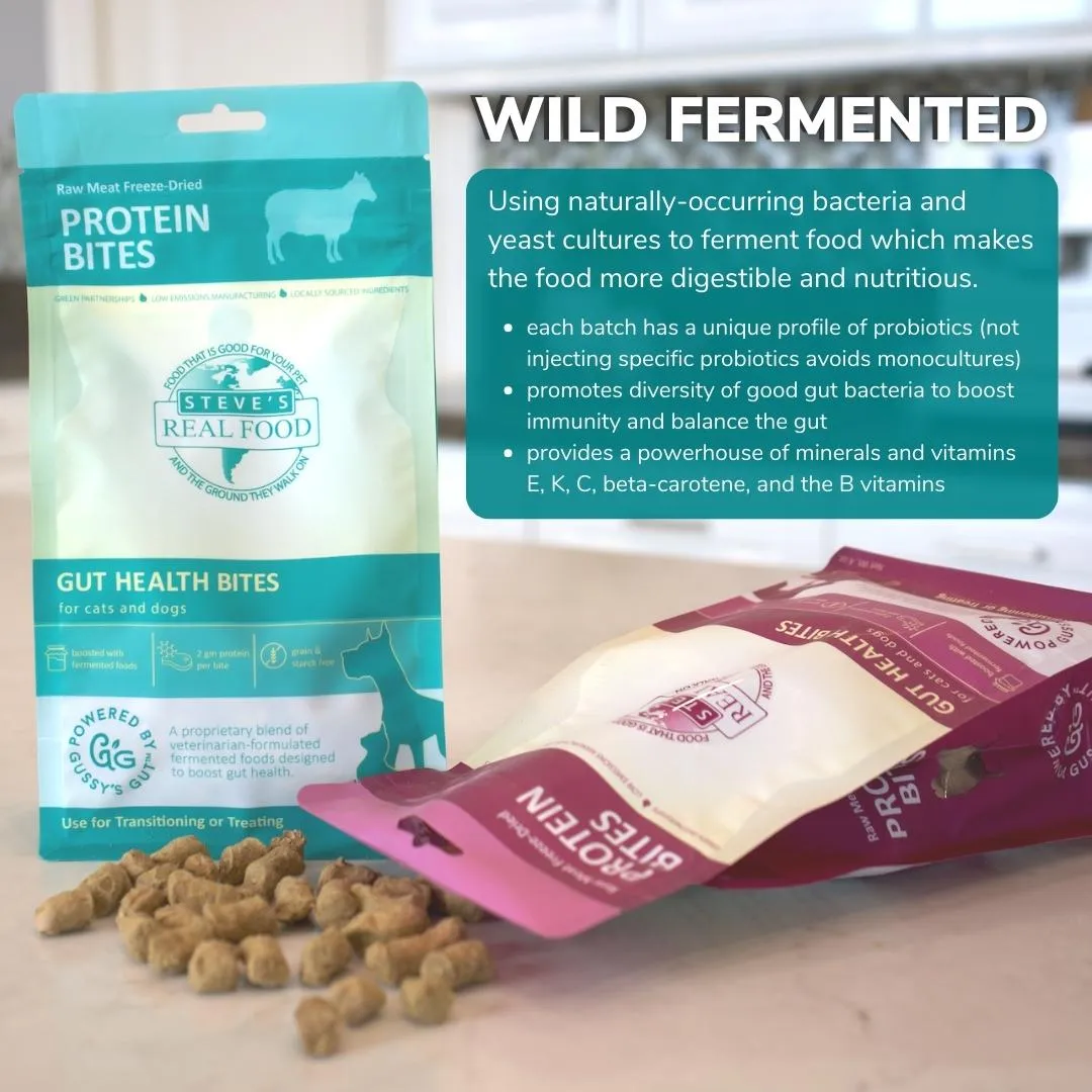 Steve's Real Food Probiotic Protein Bites