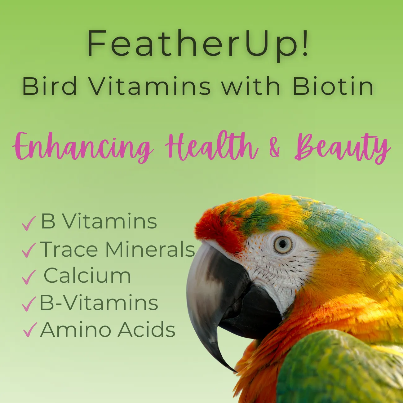 UnRuffledRx FeatherUp! Bird Vitamins, 90 gm