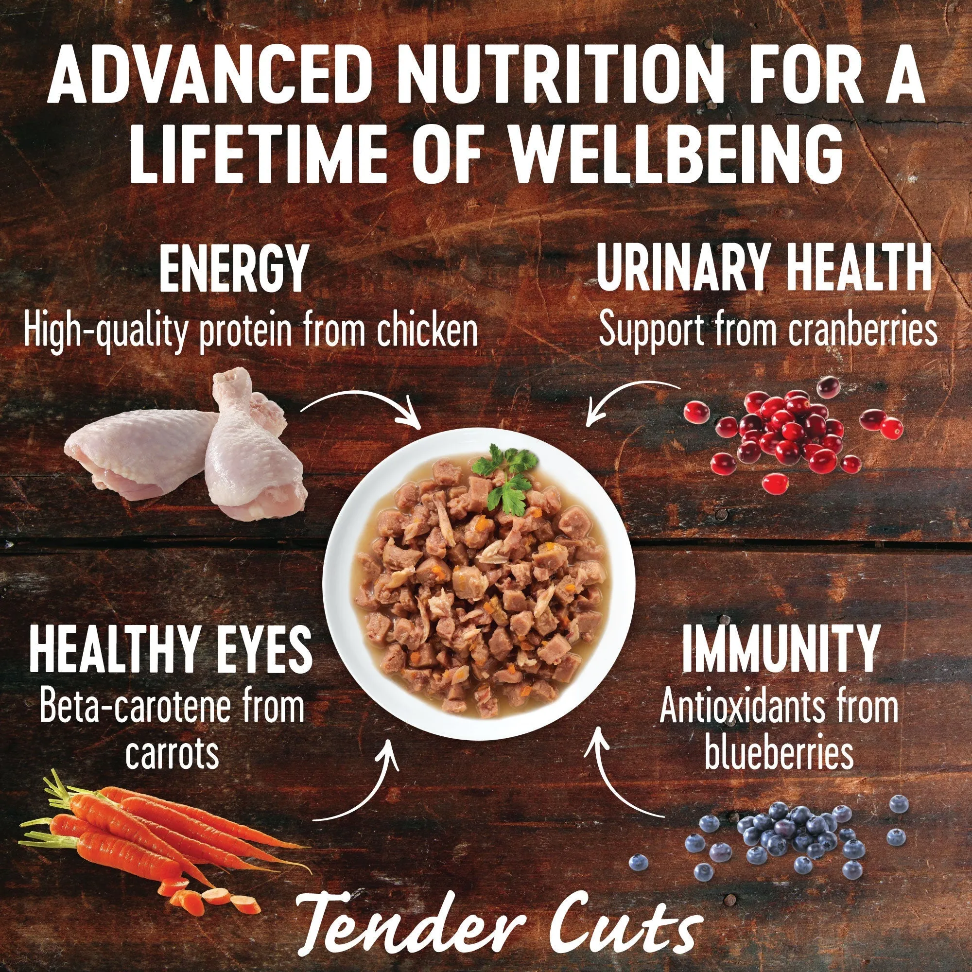 Wellness CORE Tender Cuts with Chicken and Chicken Liver in Gravy Wet Cat Food 85g^^^